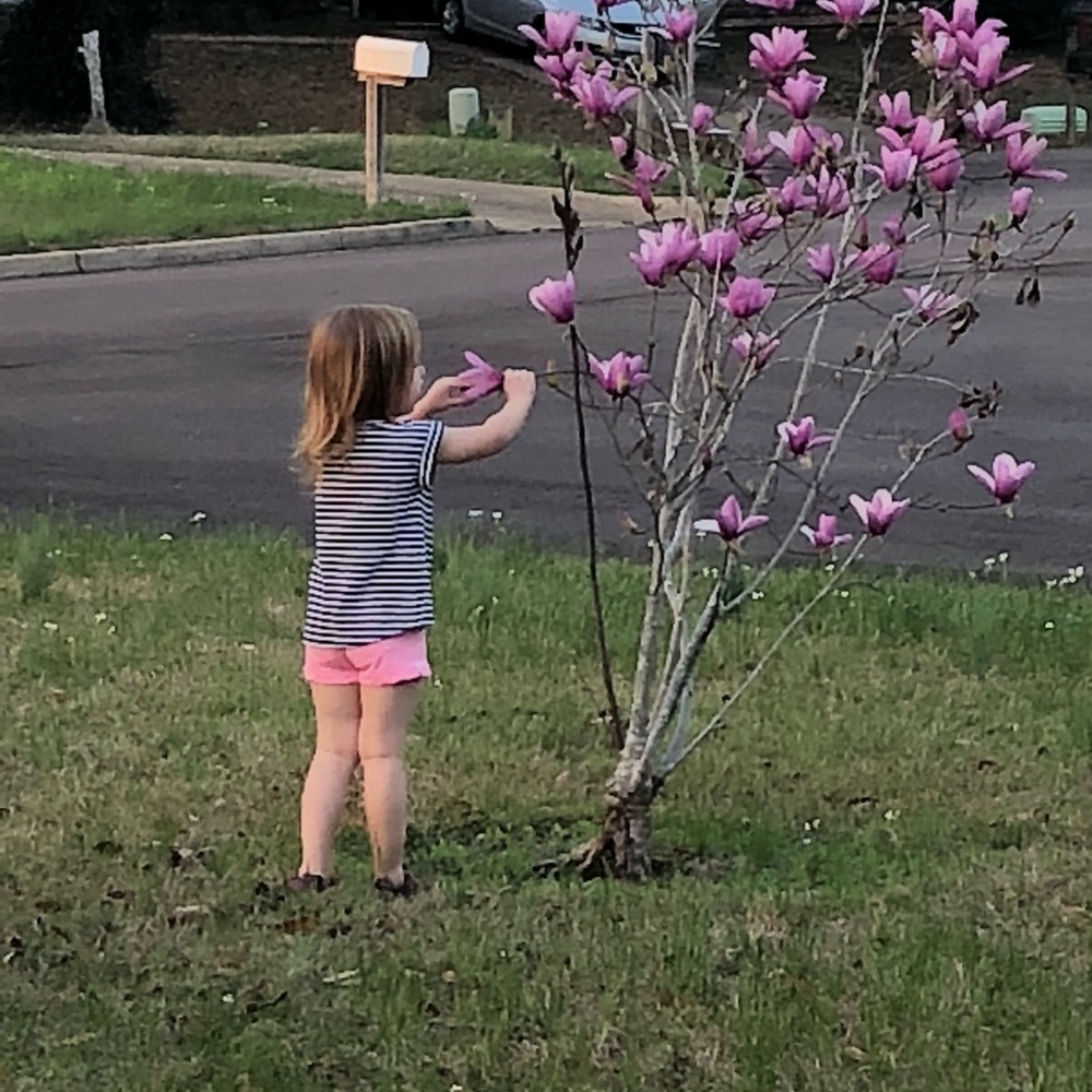 Meet your Posher, Amy